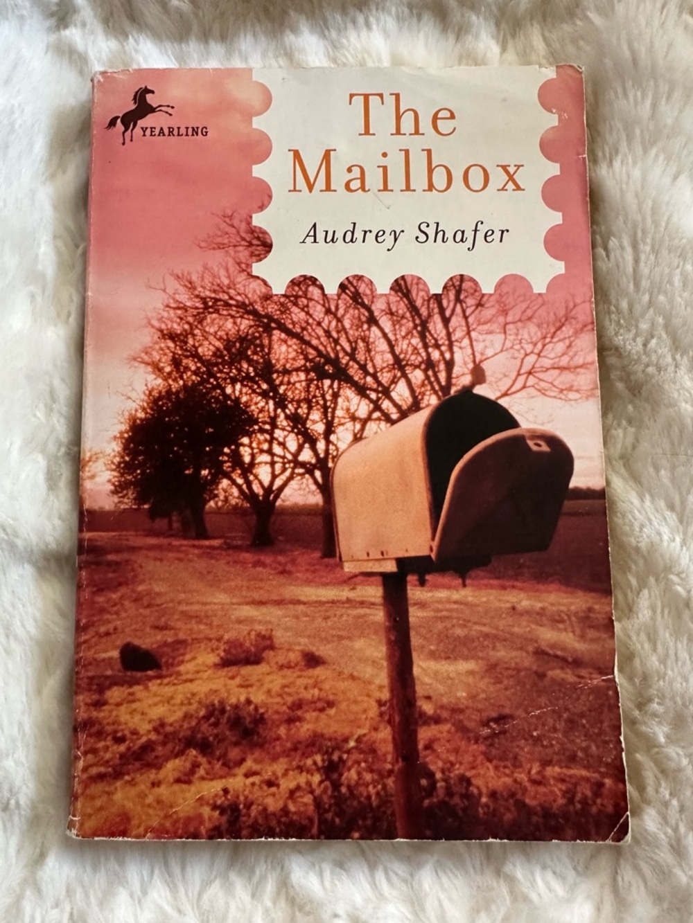 The Mailbox by‎ Audrey Shafer - Vintage Cover